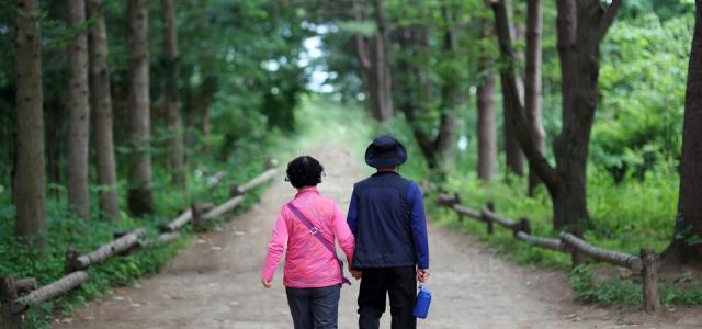 elderly-couple-2623639_960_720
